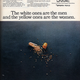 Illustration for article titled Univac Predicts Data Drives Smaller Than Cold Capsules, 1969
